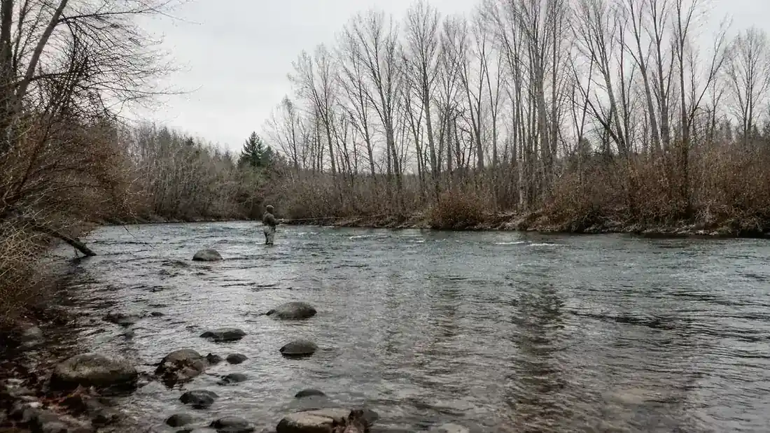A quiet river scene in late fall with bare trees and gray water, a lone angler wading in the distance